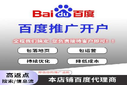 百度竞价公司成功案例：如何实现ROI最大化